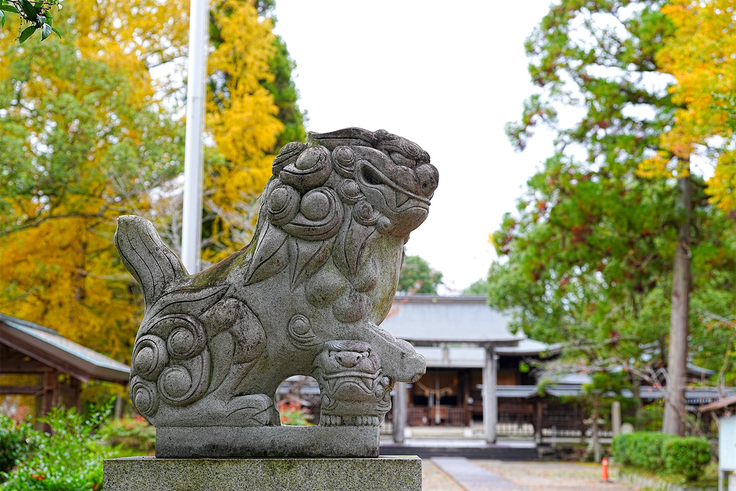 各地の神社 | 神社と神道 | 神社本庁公式サイト